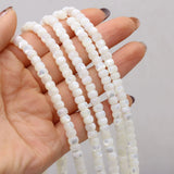 Shell Circle Beads for DIY Jewelry Making - High Gift