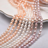 7-8mm Freshwater Rice Beads Powder Purple DIY Necklace Accessories