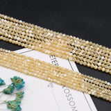 Terahertz Shell Faceted Loose Beads DIY Necklace Bracelet Jewelry 3 4MM