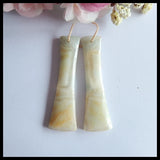 Amazonite Gemstone Women Earrings, Charms Jewelry Gift, Customized