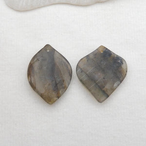 Labradorite Gemstone Hand Carved Leaves Women Earrings