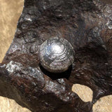 Gibeon Iron Meteorite Moldavite Round Beads Silver Plated 10mm