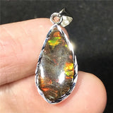 Green Ammonite Ammolite Silver Pendant Royal Jewelry Healing Love Gift