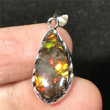 Green Ammonite Ammolite Silver Pendant Royal Jewelry Healing Love Gift