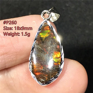 Green Ammonite Ammolite Silver Pendant Royal Jewelry Healing Love Gift