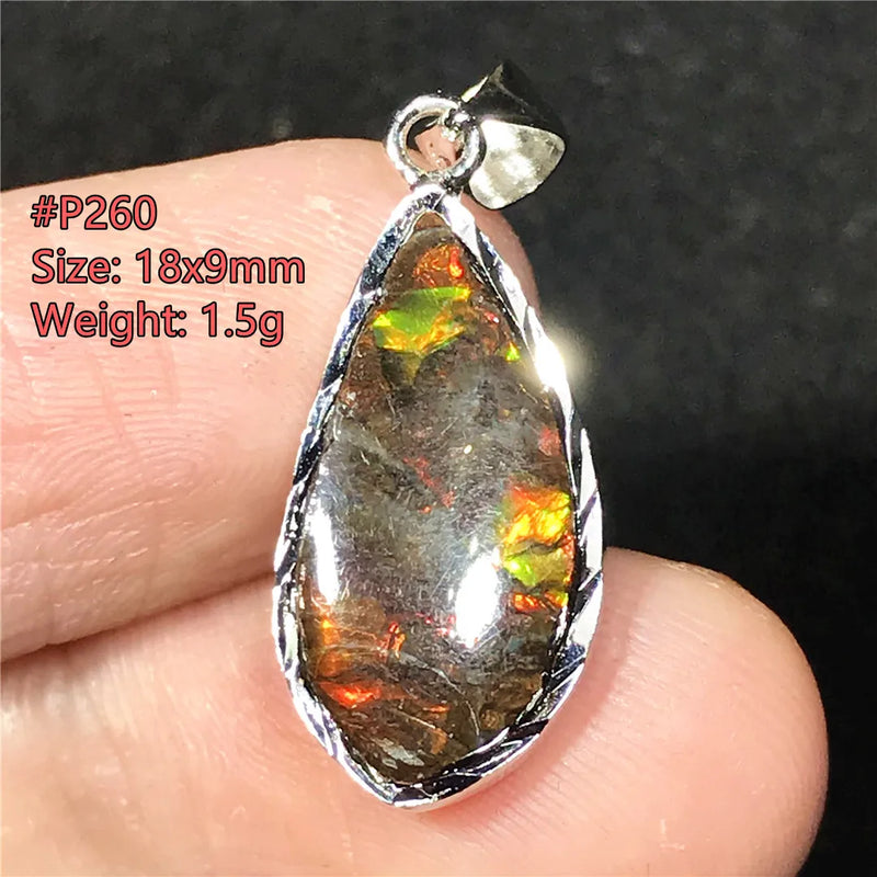 Green Ammonite Ammolite Silver Pendant Royal Jewelry Healing Love Gift