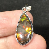 Green Ammonite Ammolite Silver Pendant Royal Jewelry Healing Love Gift