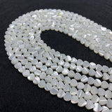 Natural Shell Beads Charm DIY Jewelry 6mm