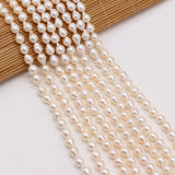 Natural Round Drop-shaped Pearl Loose Shell Pearl Beads DIY Jewelry Gift