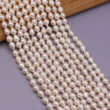 Natural Round Drop-shaped Pearl Loose Shell Pearl Beads DIY Jewelry Gift