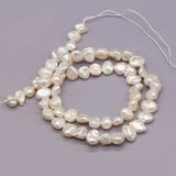 Natural Flat Round Pearl Shell Beads for DIY Jewelry