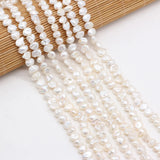 Natural Flat Round Pearl Shell Beads for DIY Jewelry