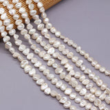 Natural Flat Round Pearl Shell Beads for DIY Jewelry