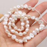 Natural Flat Round Pearl Shell Beads for DIY Jewelry