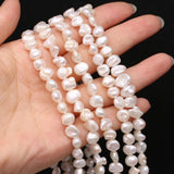 Natural Flat Round Pearl Shell Beads for DIY Jewelry