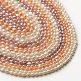 Natural Freshwater Pearl Loose Spacers Beads Charms Jewelry Making