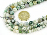 Matte Tree Agate Round Beads 15'' Strand 4-12mm 5 Strands