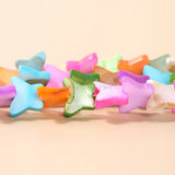 Colorful Butterfly Shell Beads for Jewelry Making