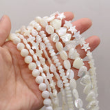 Mother Of Pearl Shell Beads Irregular Loose Beads For Jewelry Making