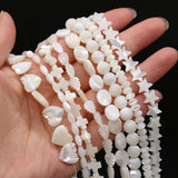 Mother Of Pearl Shell Beads Irregular Loose Beads For Jewelry Making