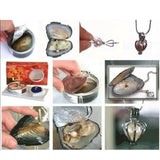 Oyster Pearls Necklace Pendants High Style Christmas Valentine Love Wish