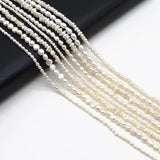 Irregular Small Cultured Freshwater Pearl Beads for Jewelry Making