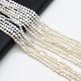 Irregular Small Cultured Freshwater Pearl Beads for Jewelry Making