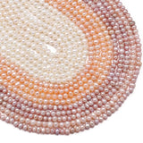 Freshwater Pearls Baroque Loose Spacer Beads 3-4mm DIY Jewelry Making