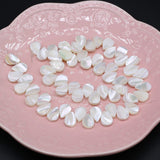 Natural Pearl Shell Melon Seed Shape Beads DIY Jewelry