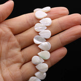 Natural Pearl Shell Melon Seed Shape Beads DIY Jewelry