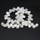 Natural Pearl Shell Melon Seed Shape Beads DIY Jewelry