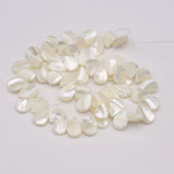Natural Pearl Shell Melon Seed Shape Beads DIY Jewelry