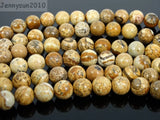 Picture Gems Stones 12mm Round Spacer Loose Beads 15'' Strand