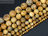 Picture Gems Stones 12mm Round Spacer Loose Beads 15'' Strand