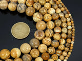 Picture Gems Stones 12mm Round Spacer Loose Beads 15'' Strand