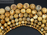 Picture Gems Stones 12mm Round Spacer Loose Beads 15'' Strand