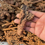 Raw Pyrite Ore Unique Decorative Ornaments Collection