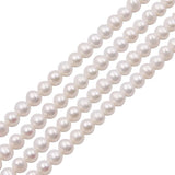 Fresh Water Pearl Round Beads 5-13mm for Jewelry Making