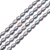 Grey Pearl Beads Plated Oval 3-5mm for Jewelry Making