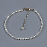 Real Freshwater Pearl Chain Anklets for Women Pearl Ankle Bracelet