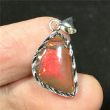 Natural Red Ammonite Ammolite Pendant Jewelry For Women Man Beauty Gift