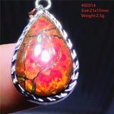 Natural Red Ammonite Ammolite Pendant 925 Sterling Silver Necklace