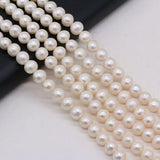 Round Freshwater Pearl Loose Beads DIY Charm Necklace Bracelet Jewelry