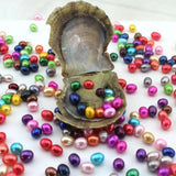 Natural Saltwater Oval Pearls in One Pearl Oysters 23 Colors Loose Pearl Beads