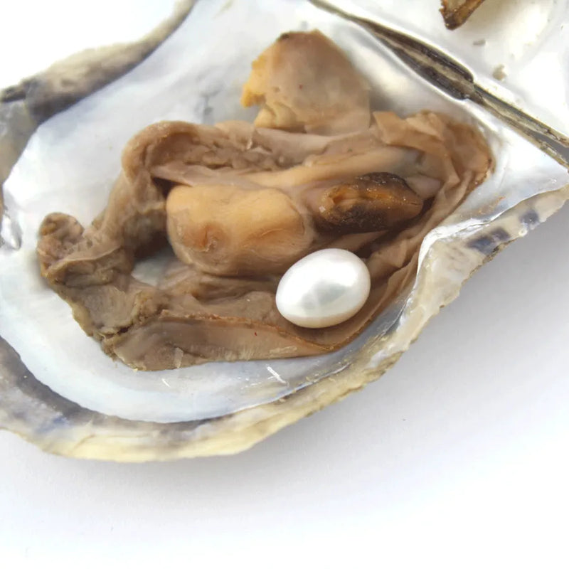 Natural Saltwater Oval Pearls in One Pearl Oysters 23 Colors Loose Pearl Beads