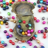 Natural Saltwater Oval Pearls in One Pearl Oysters 23 Colors Loose Pearl Beads
