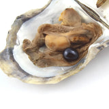 Natural Saltwater Oval Pearls in One Pearl Oysters 23 Colors Loose Pearl Beads
