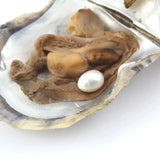 Natural Saltwater Oval Pearls in One Pearl Oysters 23 Colors Loose Pearl Beads