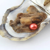Natural Saltwater Oval Pearls in One Pearl Oysters 23 Colors Loose Pearl Beads