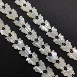 Sea Shell Butterfly Necklace Bracelet Set Glamour Lady Jewelry